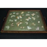 An embroidered tray featuring butterflies. Probably early twentieth century. L.63 W.43cm.