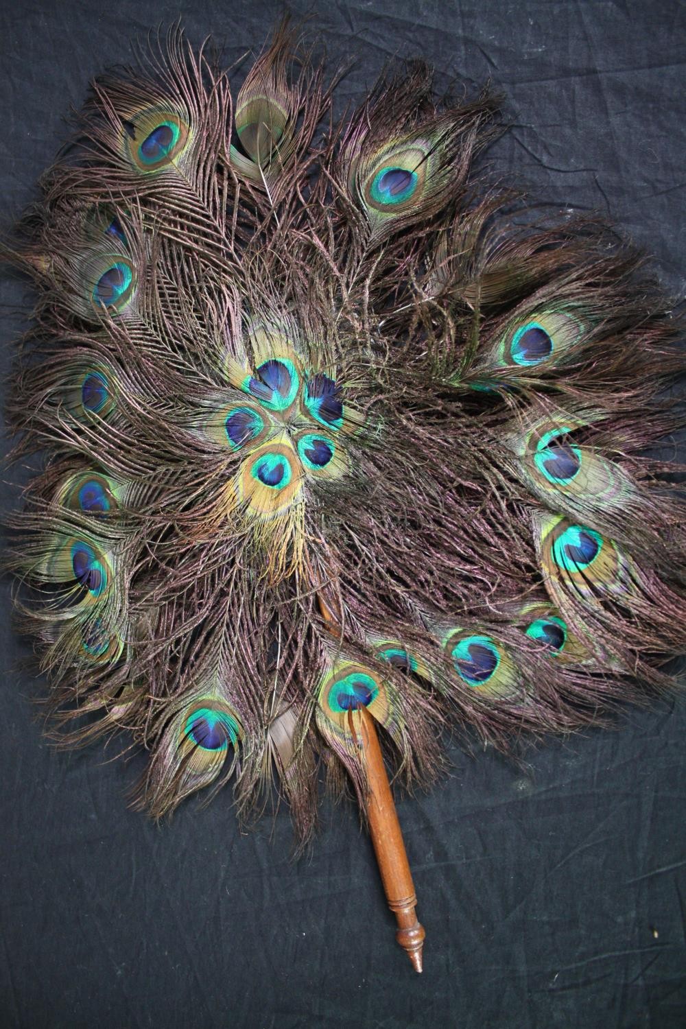 Three peacock feather fans with turned handles L.60cm. (each) - Image 3 of 6