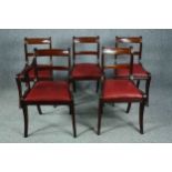 Dining chairs, a set of five Regency mahogany to include one carver armchair.