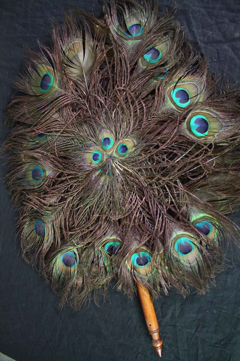 Three peacock feather fans with turned handles L.60cm. (each) - Image 2 of 6