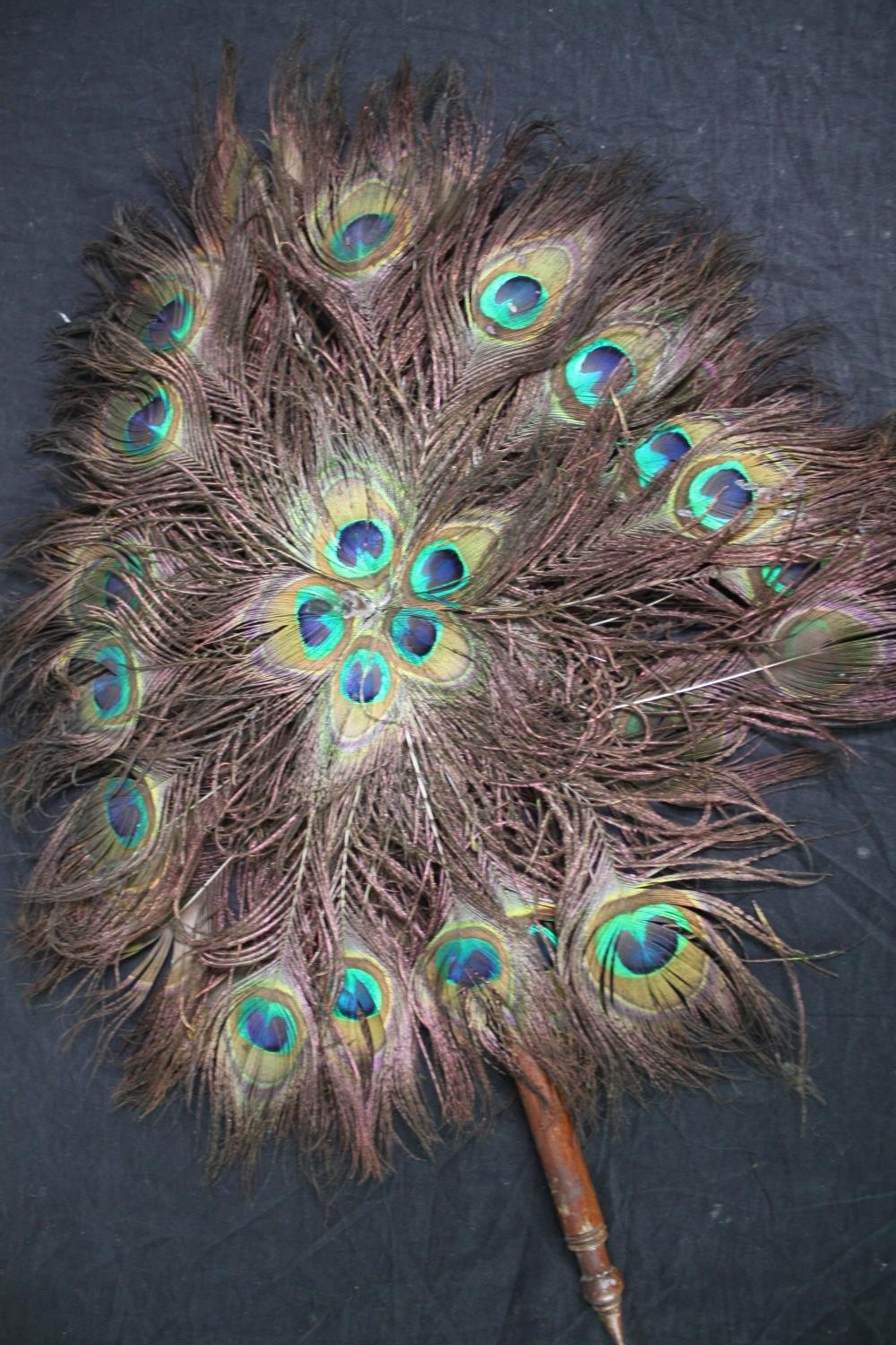 Three peacock feather fans with turned handles L.60cm. (each) - Image 4 of 6