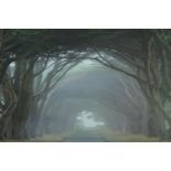 A large framed print. An avenue of trees. Unsigned. H.80 W.137 cm.