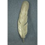 A large decorative carved wood feather painted in gold. L.101cm.