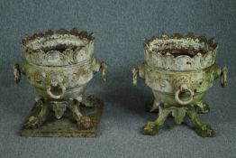 A pair of early 19th century iron planters. One base detached and missing. H.50 Dia.40cm. (each)