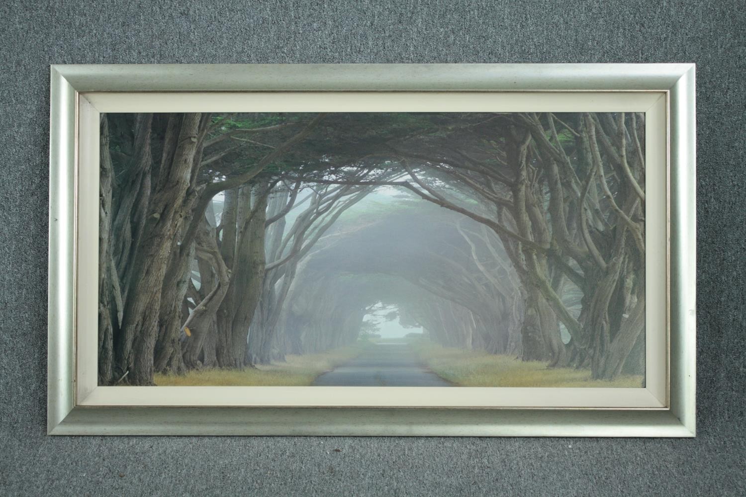 A large framed print. An avenue of trees. Unsigned. H.80 W.137 cm. - Image 2 of 3