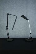 Two modern LED Anglepoise lamps.