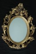 A Rococo style wall mirror in moulded gilt frame. H.65 W.50cm.
