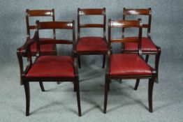 Dining chairs, a set of five Regency mahogany to include one carver armchair.