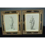 A pair of nineteenth century classical engravings in decorative modern frames finished in gilt. H.57