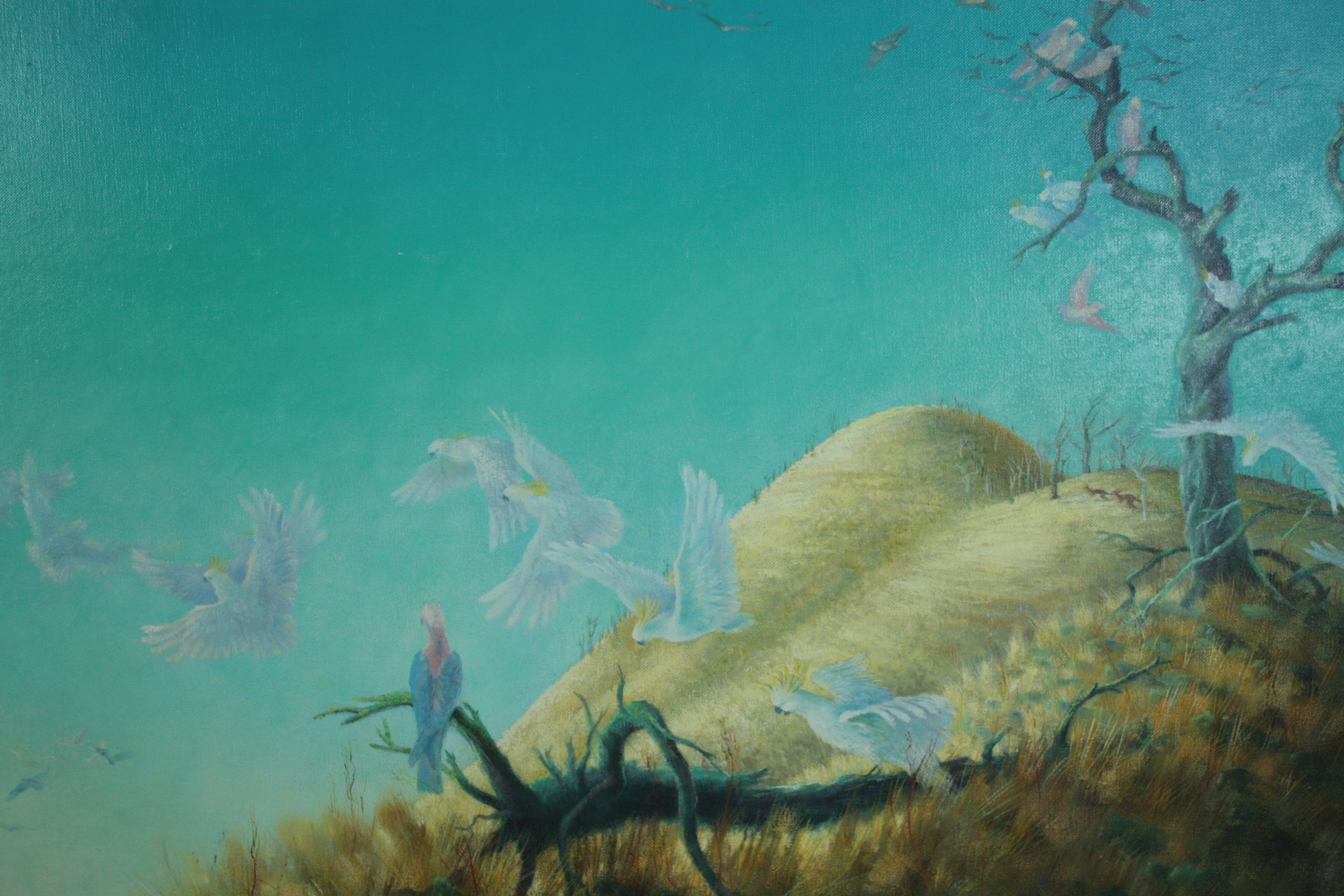 A large oil painting on canvas. Cockatoos and Galahs in Australian landscape. Unsigned.