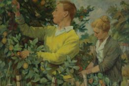 Oil painting on canvas. Apple harvesting. Mid twentieth century. In an older Edwardian frame. H.76