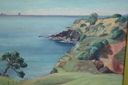 Oil painting on board. New Zealand coastal scene with cliffs in the foreground. Unsigned. Framed.