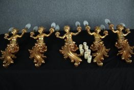 Five gold painted cherub wall lights. H.48cm. (each)