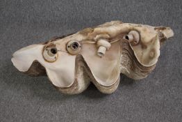 A Giant Clam (TRIDACNA GIGAS) half shell with light fittings attached to the rim. L.70 W.45 cm. 47kg