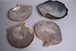 Four Oyster shells. H.29 W.23cm. (largest)