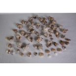 A large collection of small mixed shells. L.4 W.3cm. (largest)