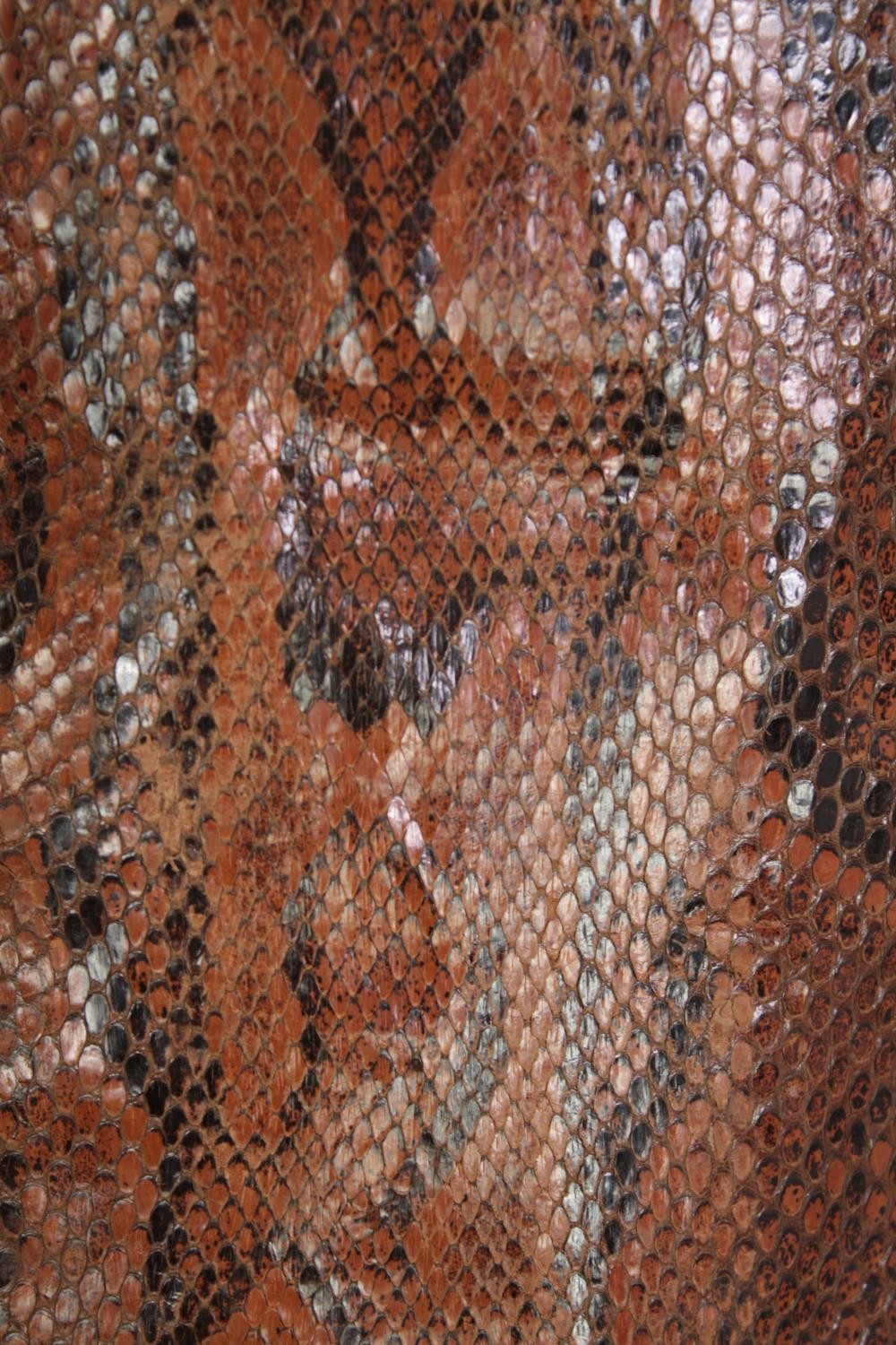 A very large Mid 20th century taxidermy Python snake skin. L.410 W.43cm(widest) - Image 5 of 5