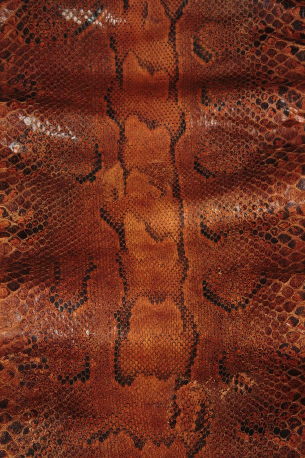 A very large Mid 20th century taxidermy Python snake skin. L.350 W.40cm(widest) - Image 3 of 4
