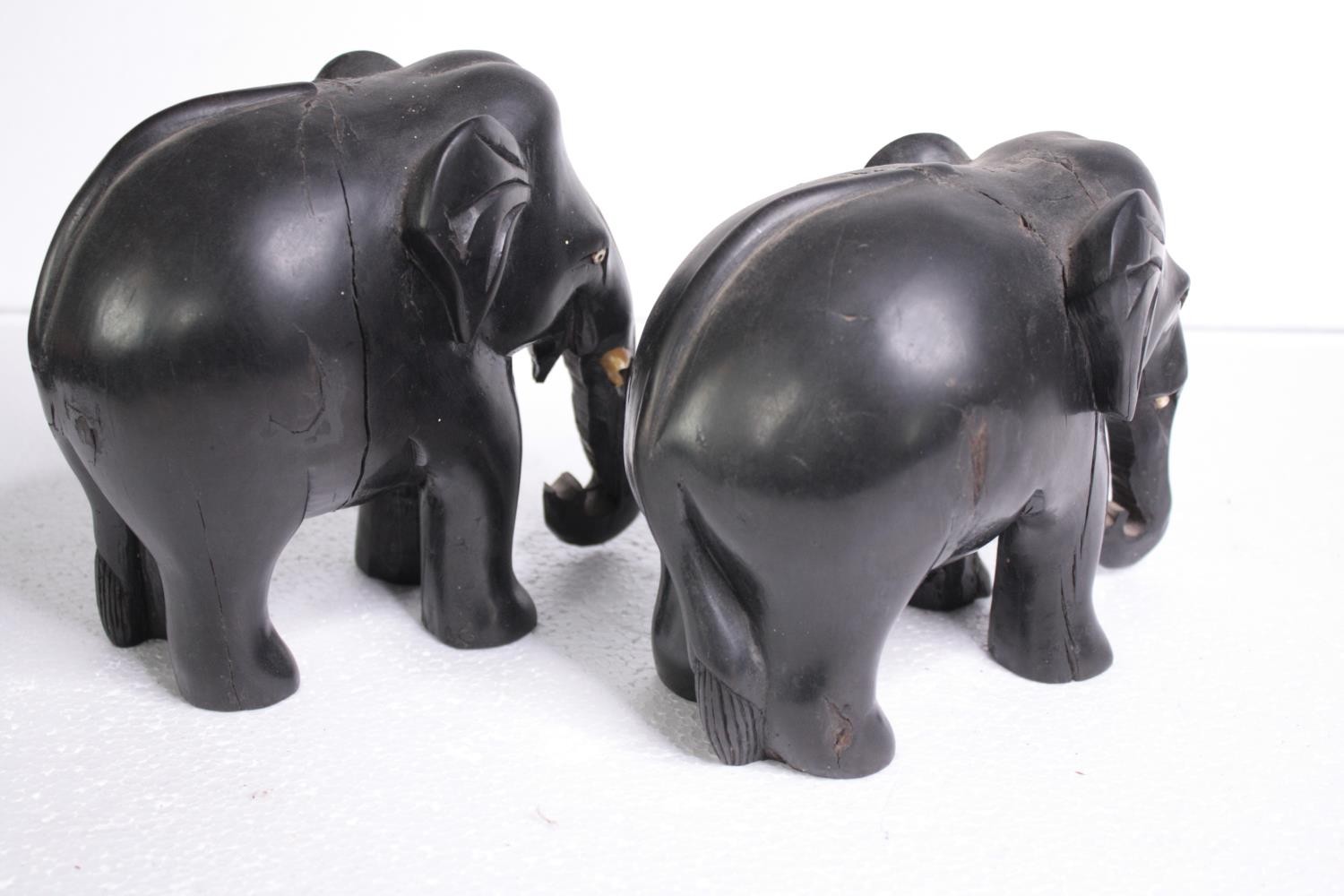 Two carved ebony elephants. Missing their tusks. Early to mid twentieth century. H.15 W.18cm. ( - Image 5 of 6