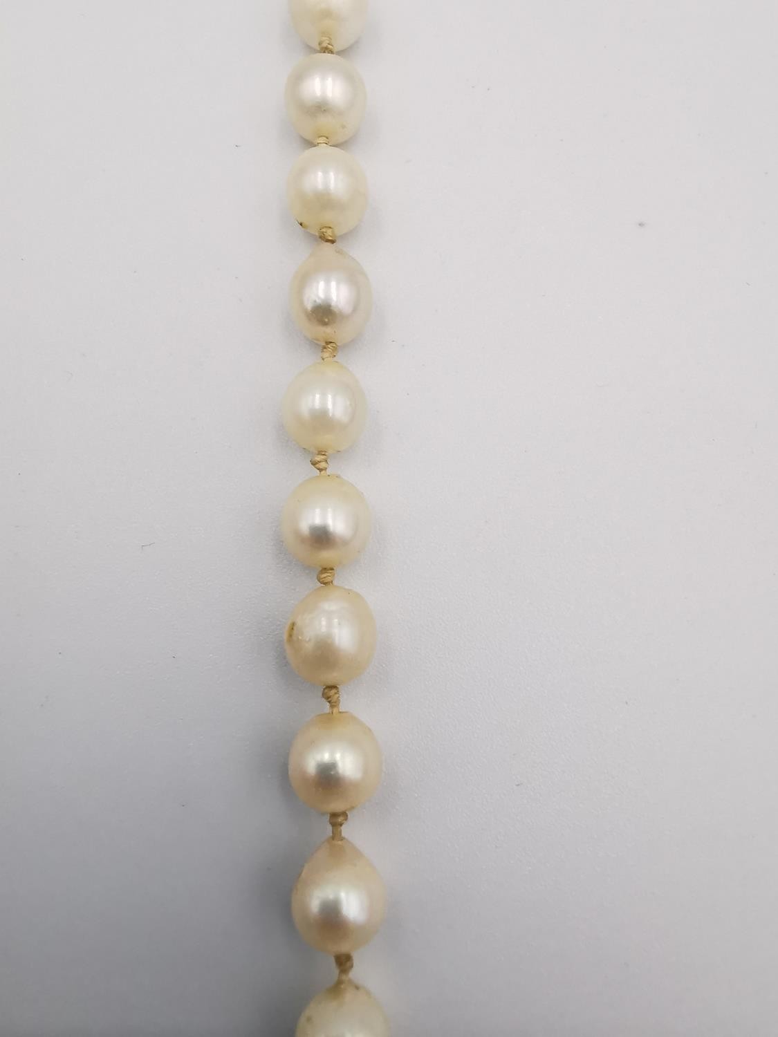 Two knotted white cultured pearl necklaces. One necklace with a 9ct bow shaped hook and push - Image 4 of 10