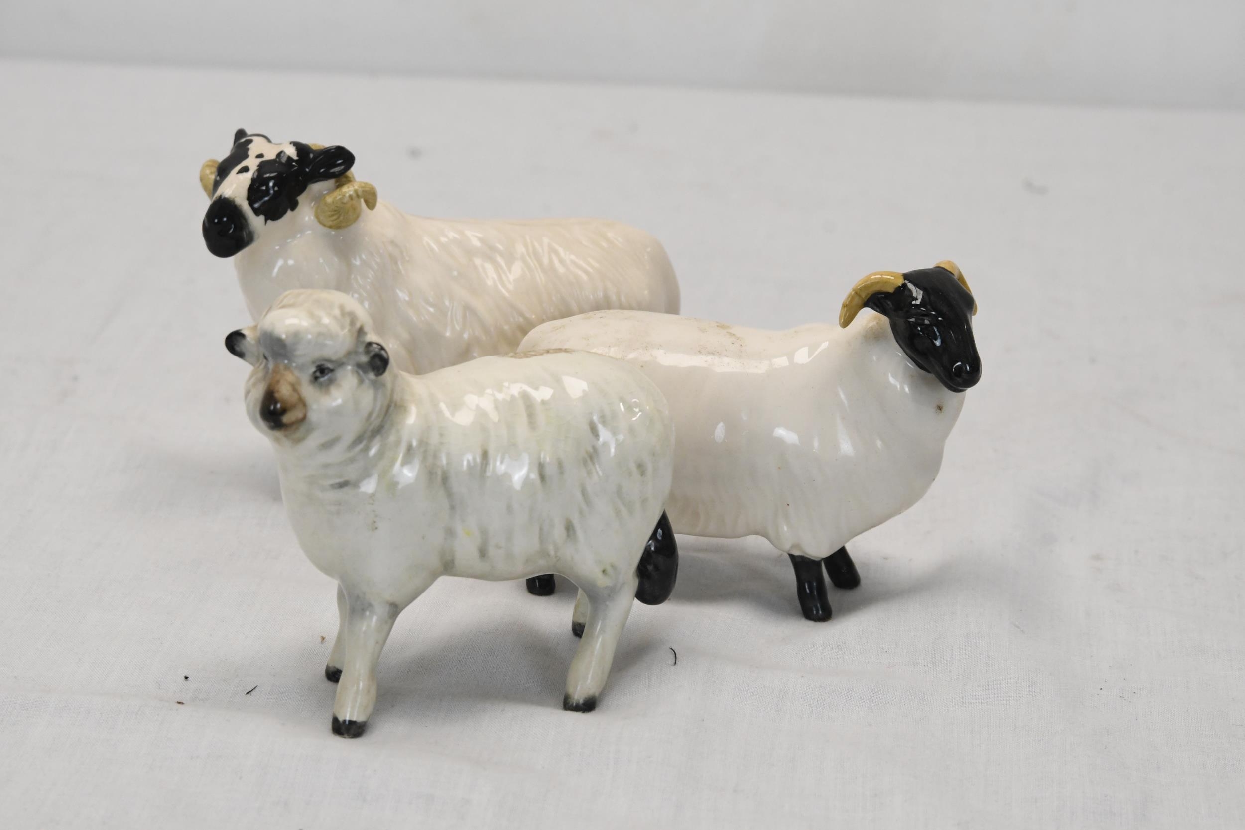 A collection of Beswick sheep.