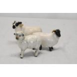 A collection of Beswick sheep.