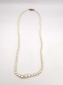A graduated cultured pearl necklace with 9ct yellow gold spiral push clasp. Clasp hallmarked: Jka,