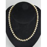 A 46 cm cultured pearl necklace with a 9ct gold clasp, London 1961. 6.8 mm pearls. UK Postage £12.