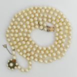 Cultured pearl double strand necklace with a 9ct gold clasp, set with turquoise and pearls, 89