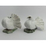 A pair of Rosenthal porcelain fan tailed doves numbers 1589 & 1590 F Heidenreich. 14 cm high. UK