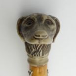 A Dogs head walking stick with Scottish badges, 93cm, UK Postage £15.