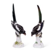 MEISSEN: A PAIR OF 19TH CENTURY LIFE-SIZE PORCELAIN MODELS OF MAGPIES