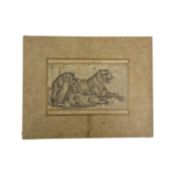 AN 18TH / 19TH CENTURY PERSIAN PEN AND INK DRAWING OF TIGERS n 18th