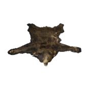 VAN INGEN, MYSORE: AN EARLY 20TH CENTURY TAXIDERMY BEAR RUG