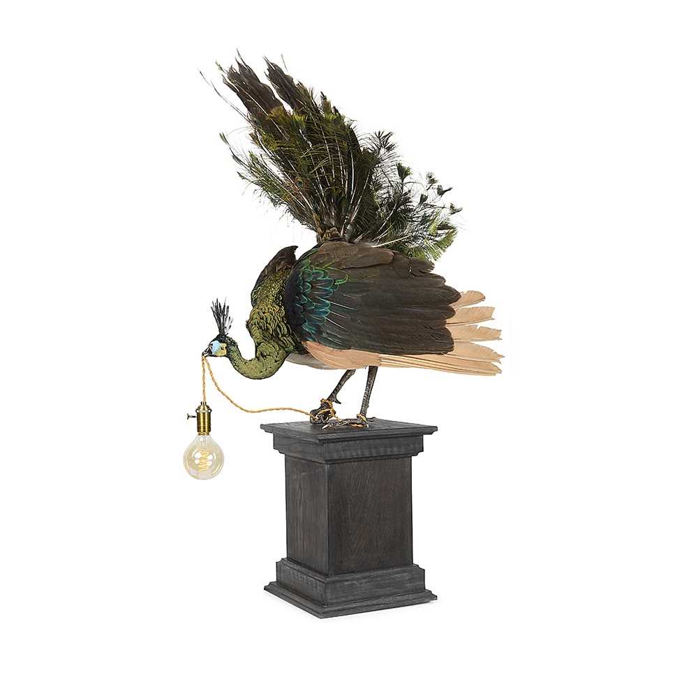 A RARE TAXIDERMY GREEN PEACOCK MOUNTED AS A LAMP