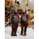 'WALKING WITH CAVEMEN': TWO PROSTHETIC SUITS MADE FOR THE BBC TV SERIES