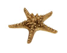 A TAXIDERMY GIANT KNOBBY STARFISH GILDED WITH IMIITATION GOLD LEAF