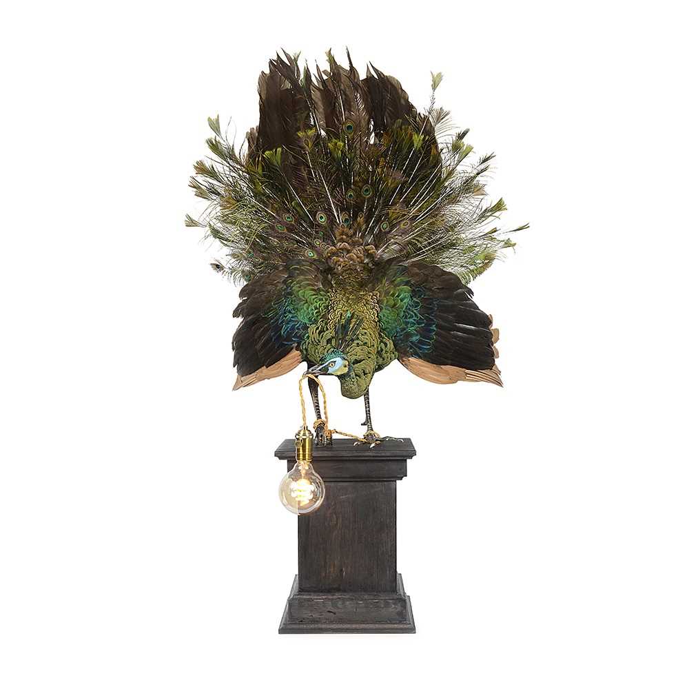 A RARE TAXIDERMY GREEN PEACOCK MOUNTED AS A LAMP - Image 2 of 3