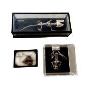 THREE CURIOSITIES: A LIZARD SKELETON, FROG SKELTON AND PART OF A HUMAN EAR