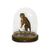 A TAXIDERMY PYGMY MARMOSET UNDER GLASS DOME DATED 1941