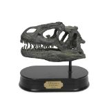 A MODEL OF AN ALLOSAURUS DINOSAUR SKULL