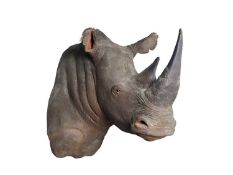 A PAINTED CAST OF A WHITE RHINOCEROS HEAD BY SIMON 'THE STUFFA' WILSON