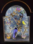 AN ILLUMINATED DISPLAY OF EXOTIC BIRDS AND BUTTERFLIES