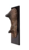A REPLICA SUMATRAN RHINOCEROS HORN CAST FROM THE TRING MUSEUM COLLECTION