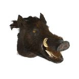 ROLAND WARD: AN EARLY 20TH CENTURY TAXIDERMY SUMATRAN BOAR HEAD