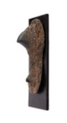 A REPLICA SUMATRAN RHINOCEROS HORN CAST FROM THE TRING MUSEUM COLLECTION