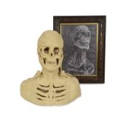 A SCULPTED AND DRAWN SKELETAL MEMENTO MORI