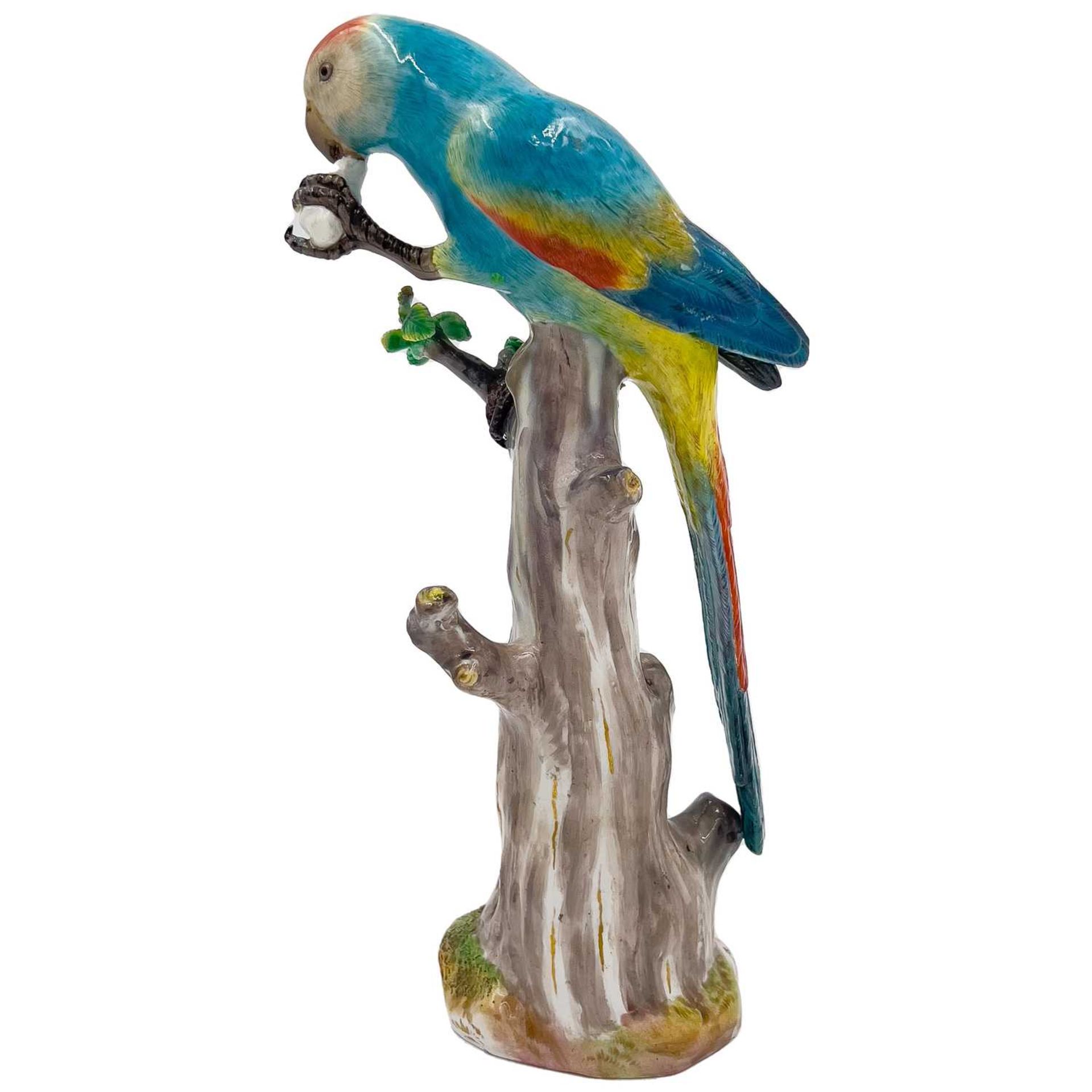 MEISSEN: A 19TH CENTURY PORCELAIN MODEL OF A PARROT EATING FRUIT - Image 2 of 7