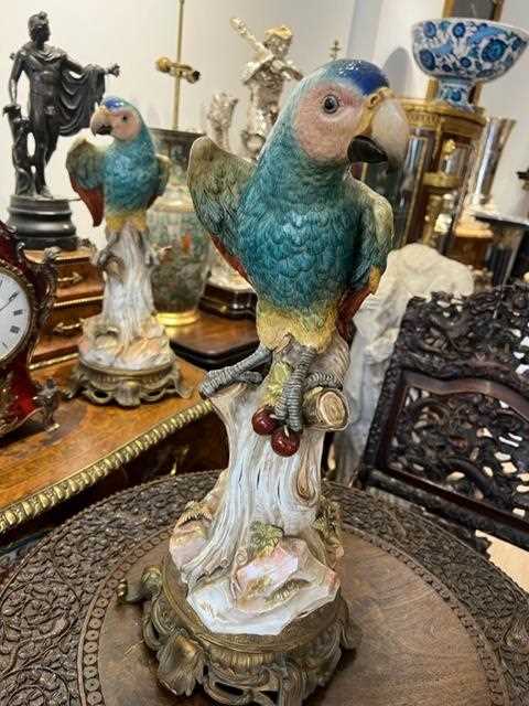 A RARE PAIR OF 19TH CENTURY MEISSEN PORCELAIN MODELS OF PARROTS - Image 11 of 19