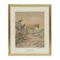 THOMAS ROWDEN (BRITISH, 1842-1926): A WATERCOLOUR OF DARTMOOR PONIES